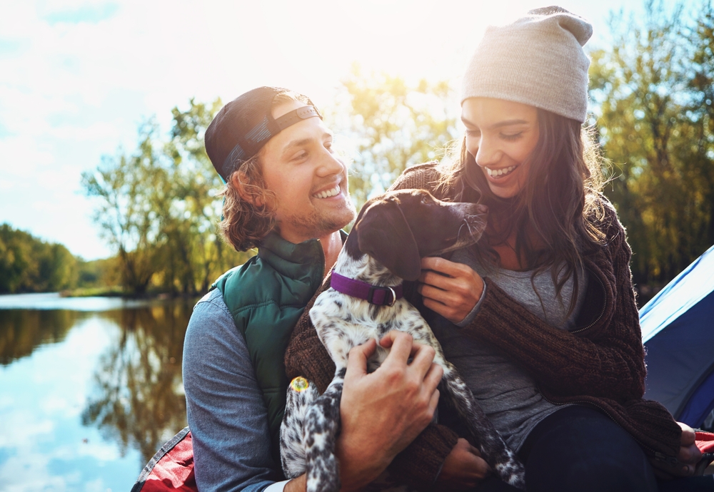 Couple camping with a dog