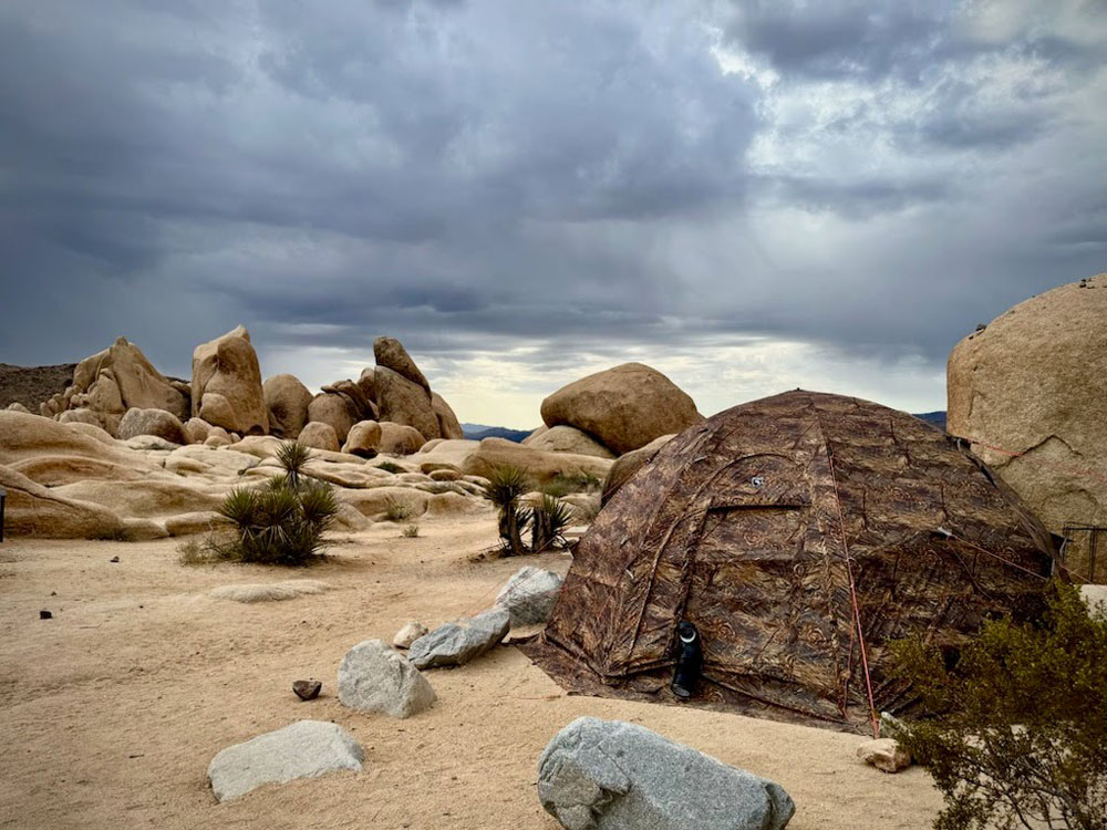 bereg-canada up-7 in joshua tree