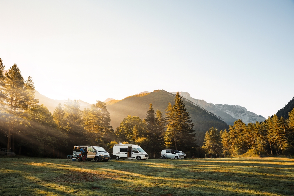 Campervans in a meadow
