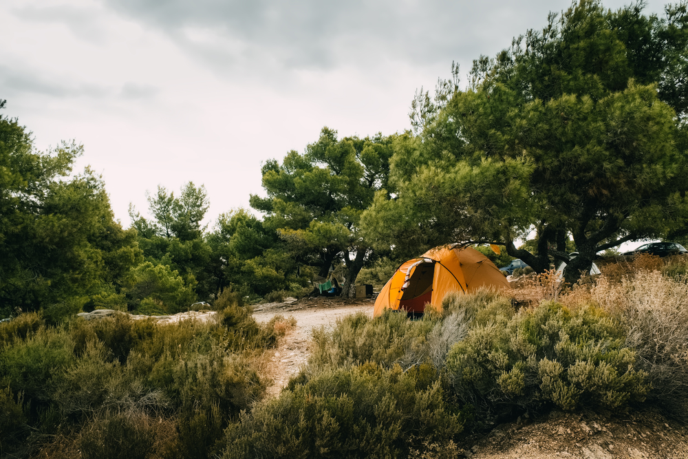 tent camping in the woods