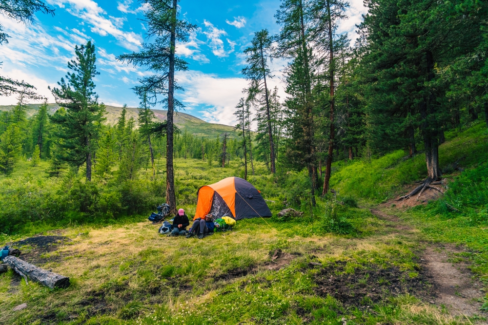 tent camping in the forest