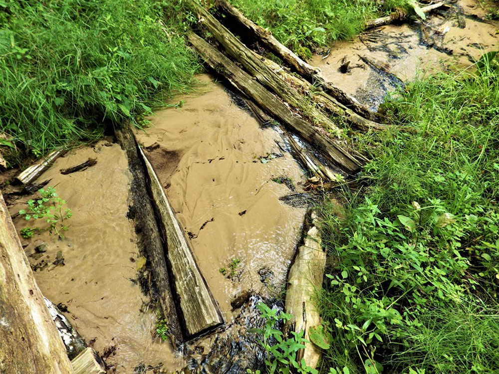 7 - SPRING CREEK
