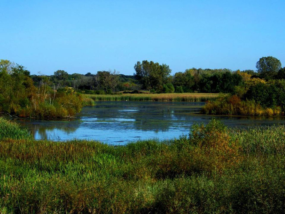 6 - POND