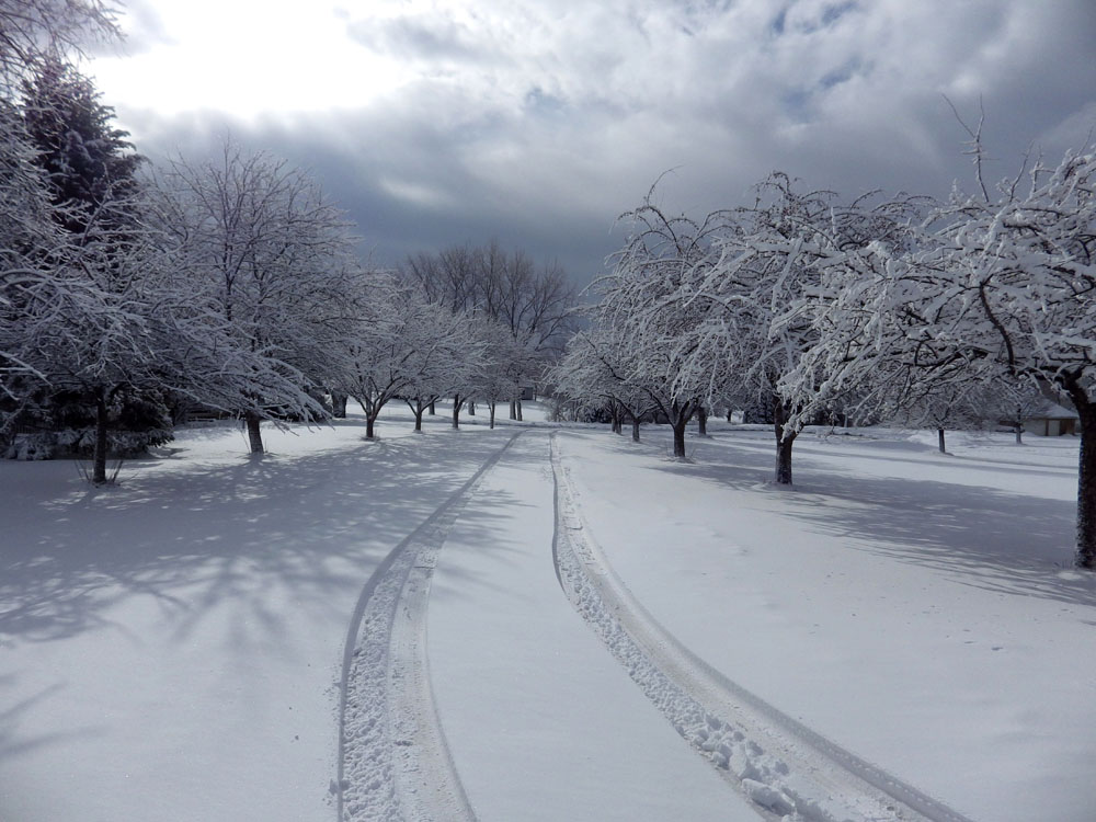 2 - SNOWY COUNTRY ROAD
