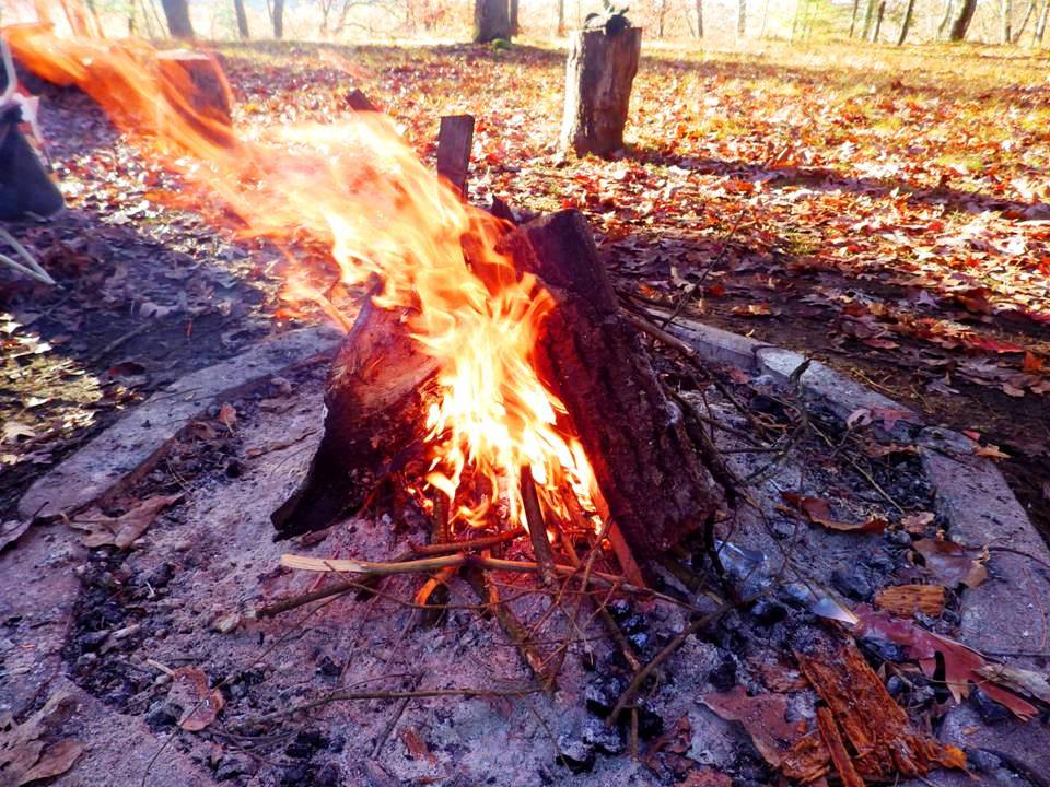 8 - WINDY DAY FIRE