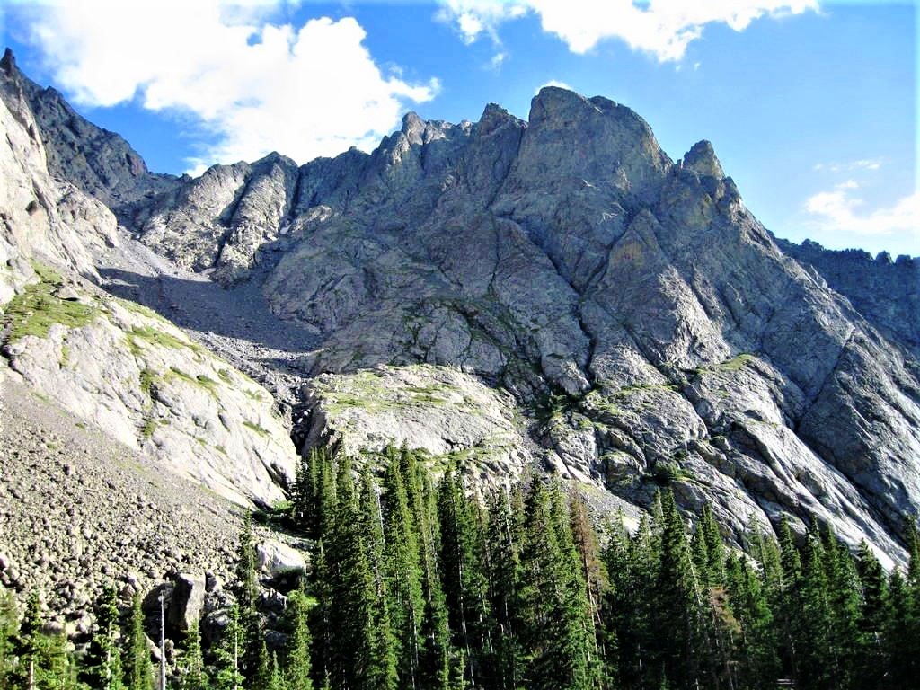 mountain peaks amongst trees