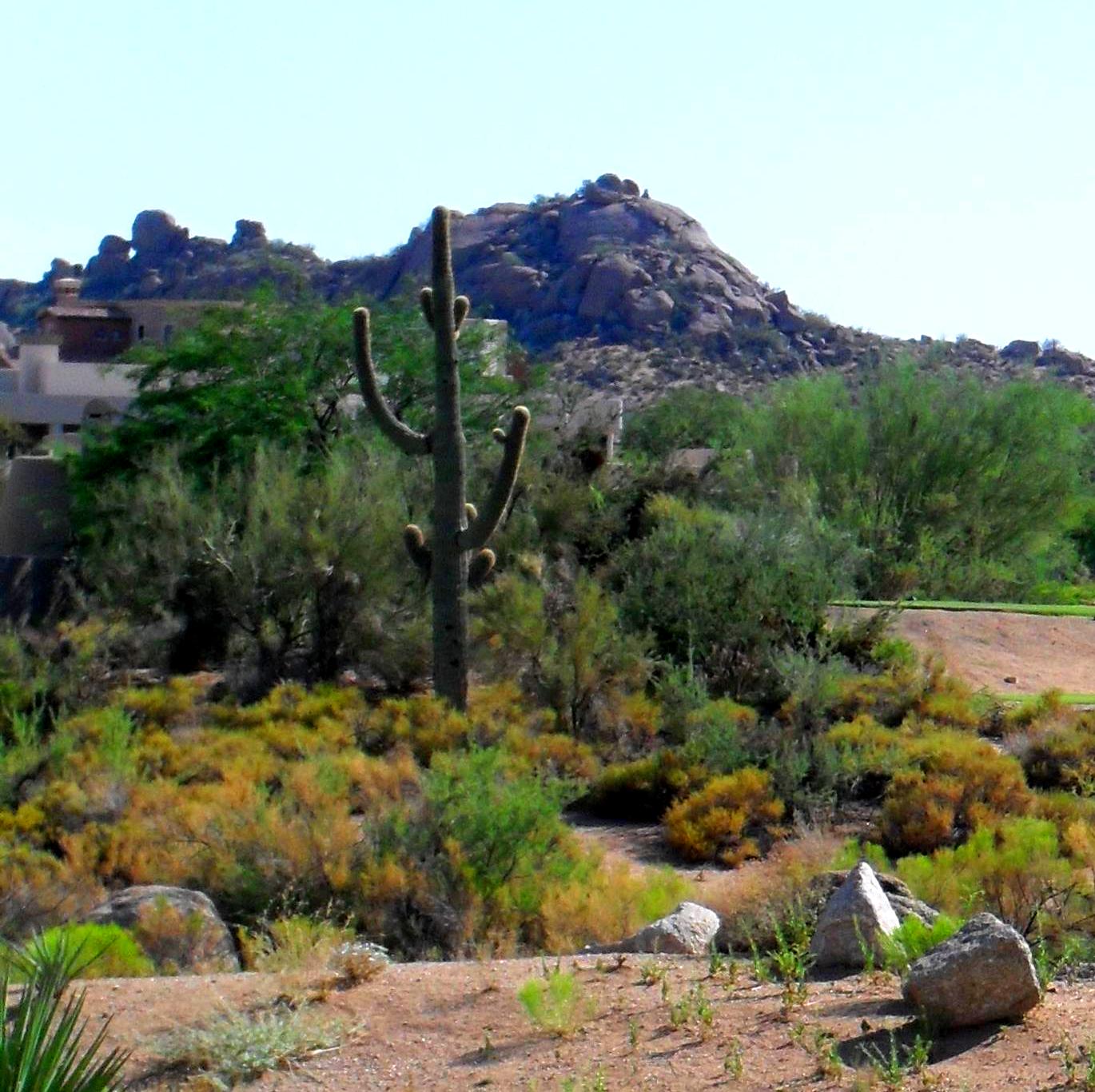 sunny day in the desert