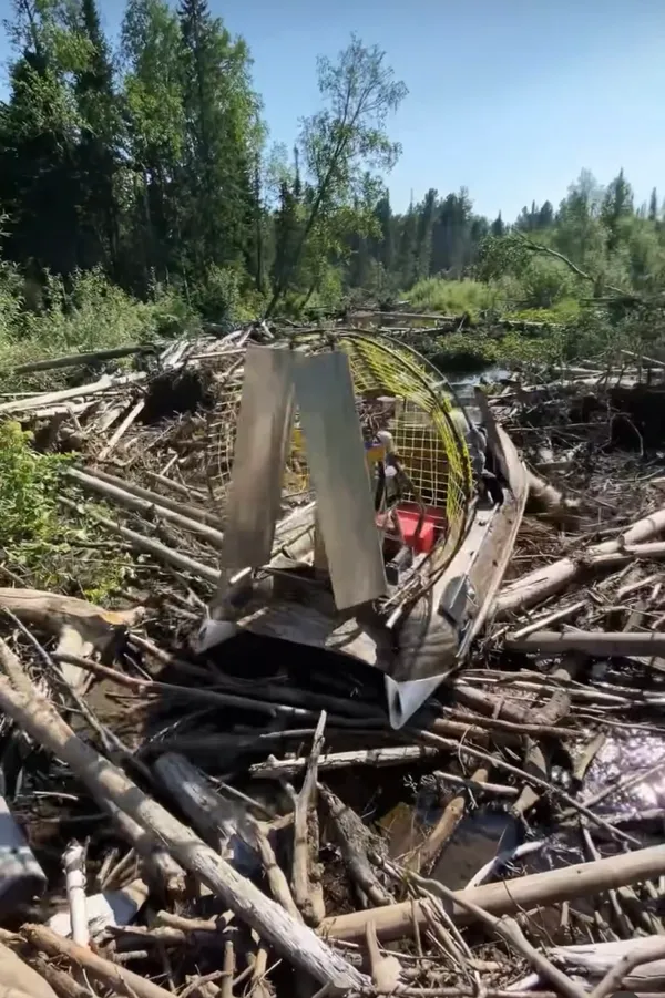 bereg airboat navigating downed trees