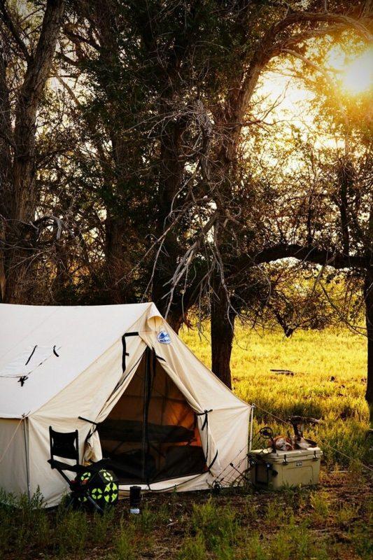 davis tent go tent 7