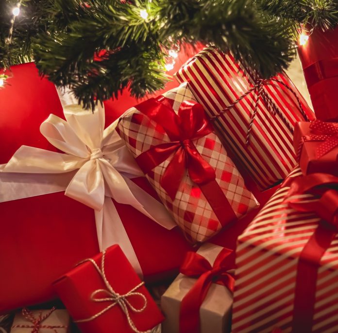 best overlanding gifts under $500