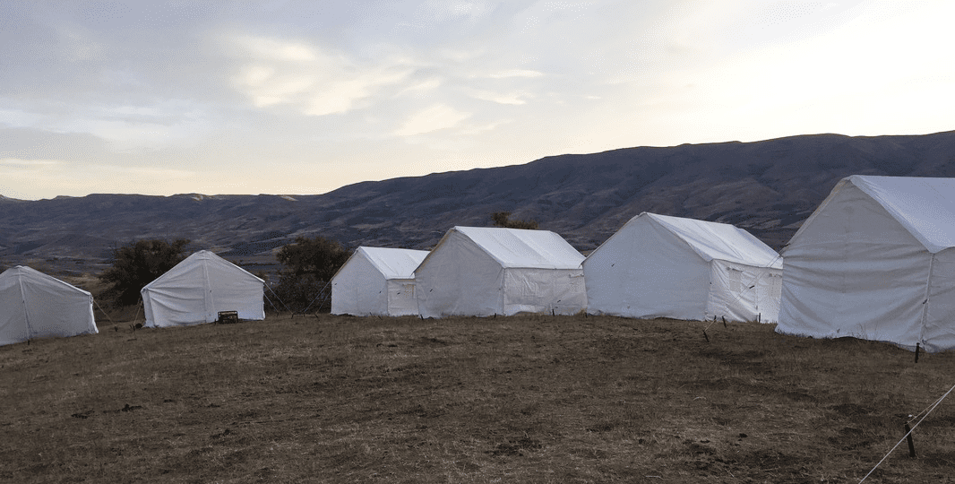 row of elk mountain wall tents