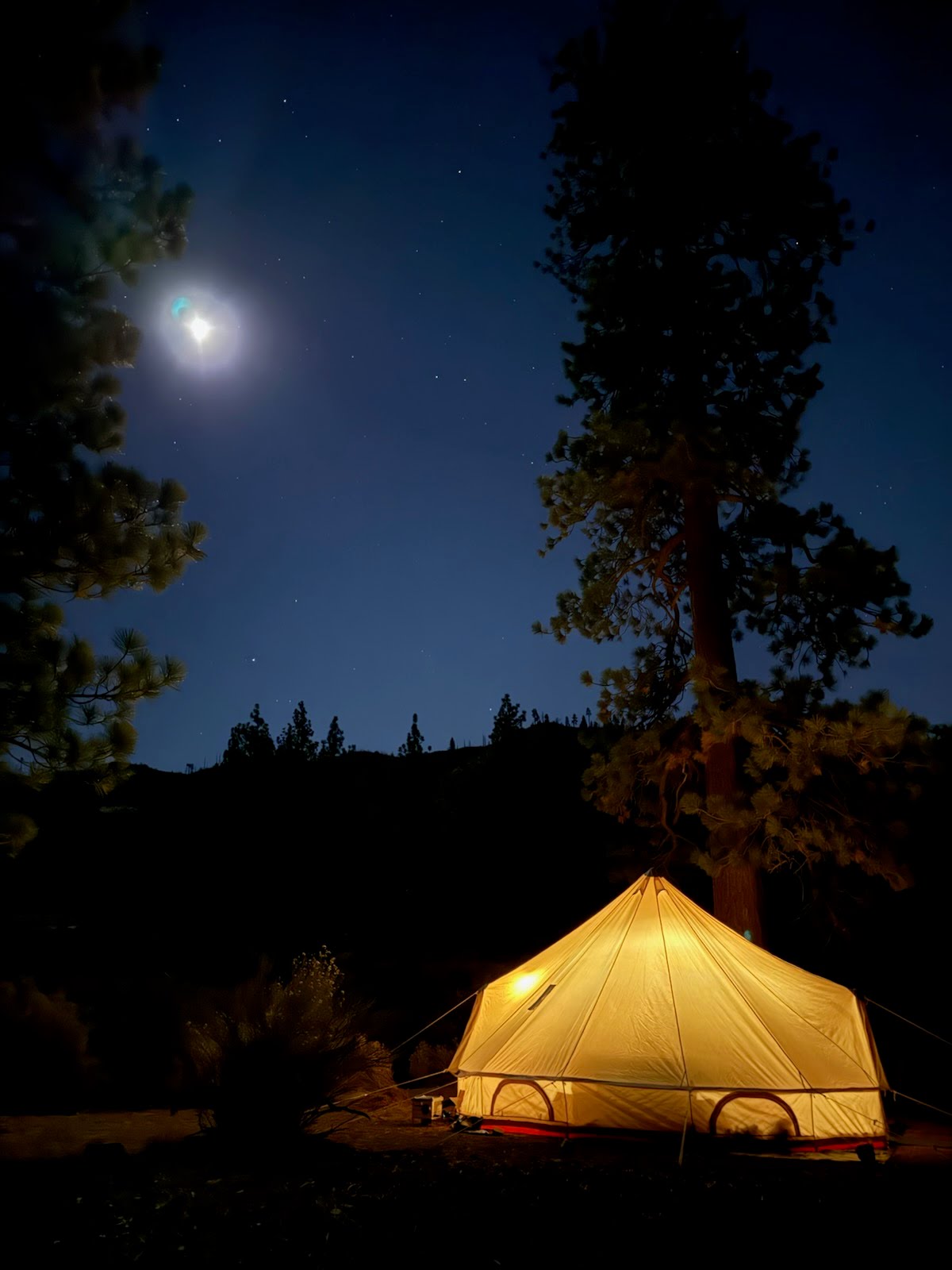 stout 6m pro at night