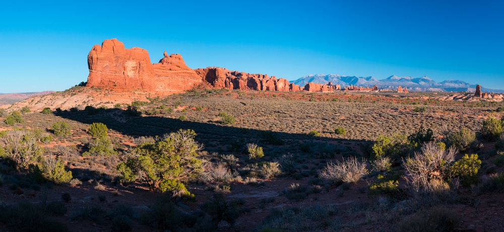 Red sandstone formations of Devil's Garden in Arches National Park rising above high-desert scrub, Utah