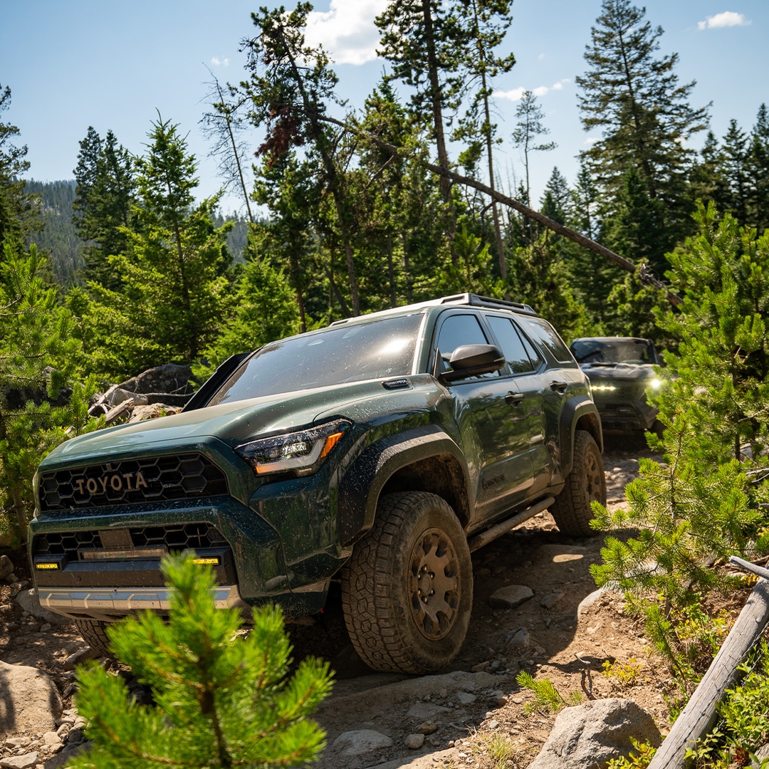 Two dark green Toyota 4Runners climbing a rocky forest trail lined with tall pine trees on a sunny day