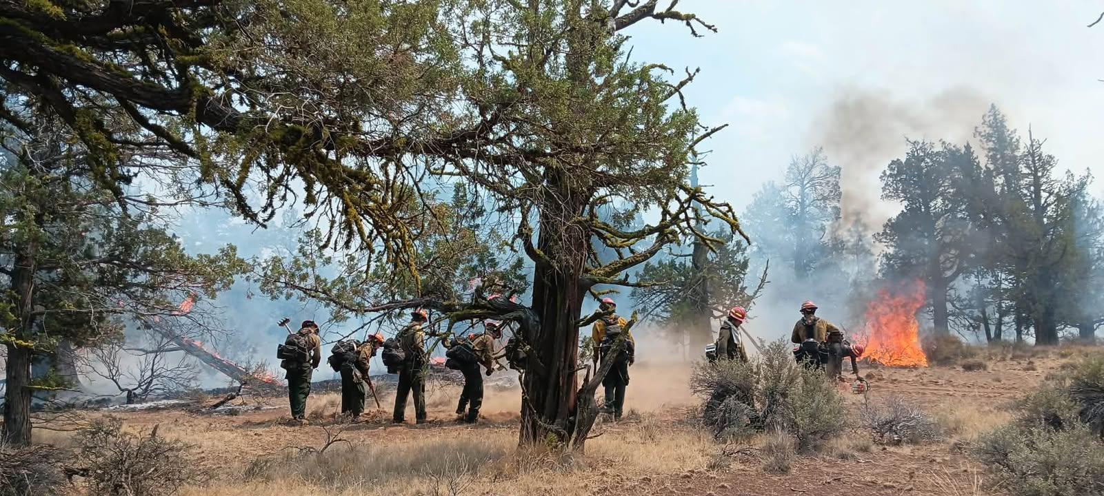 Grayback Crew 39 hand crew working the fire line on the Akawa Butte Fire, July 25, 2026