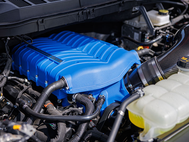 Blue Whipple-based supercharger on the 5.0L V8 in a Shelby F-150 Super Snake Sport engine bay