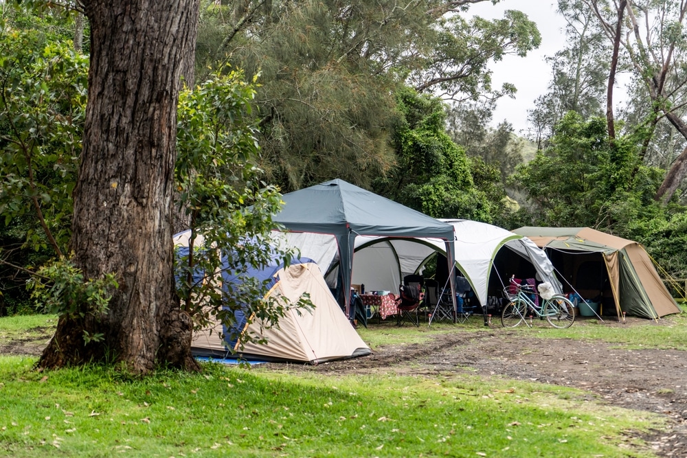 Three tents, a shade canopy and camp chairs set up together on a grassy group campsite