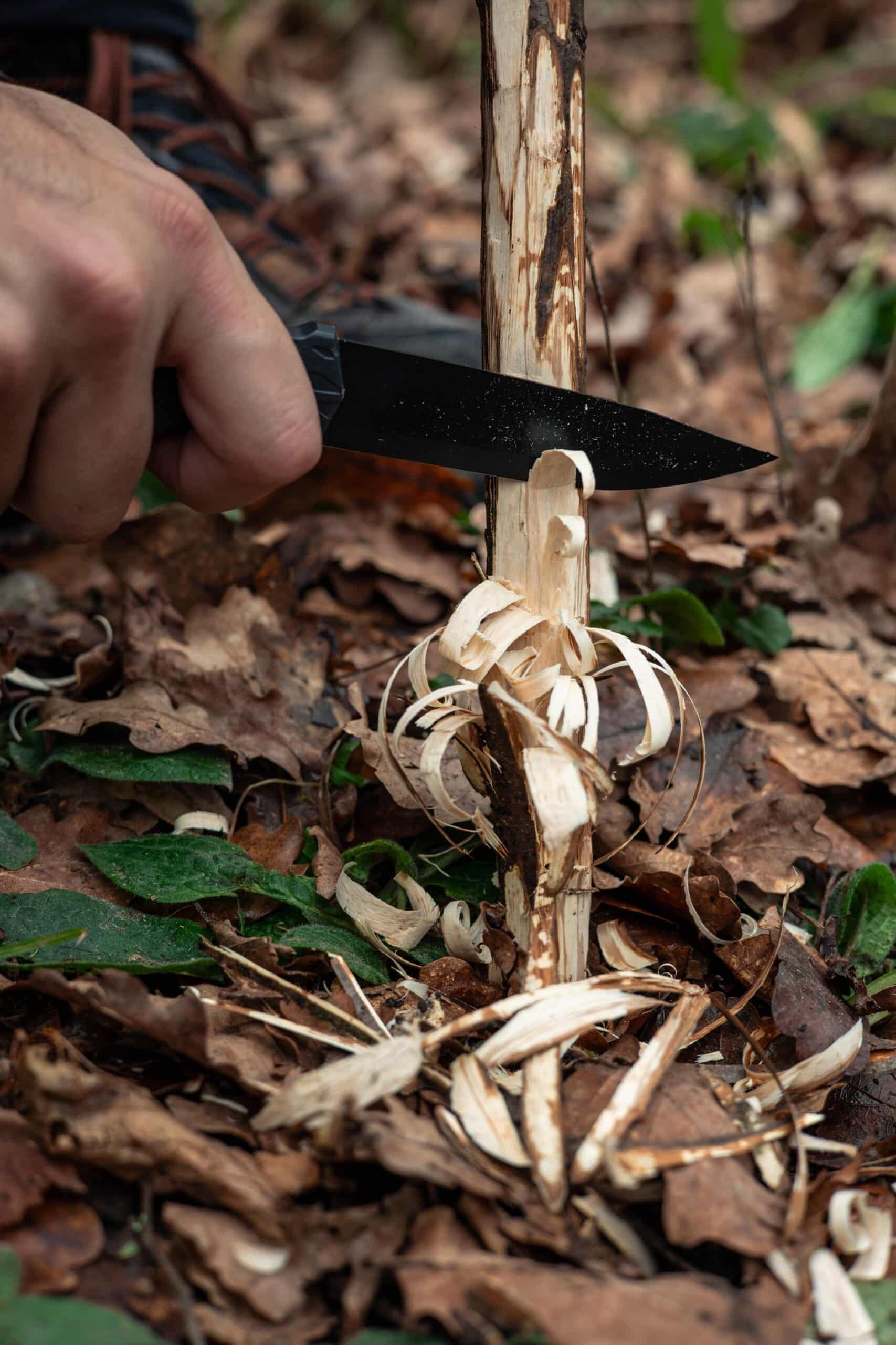 Carving a feather stick Fixed blade camping knife carving curled shavings from a stick to make a feather stick for kindling