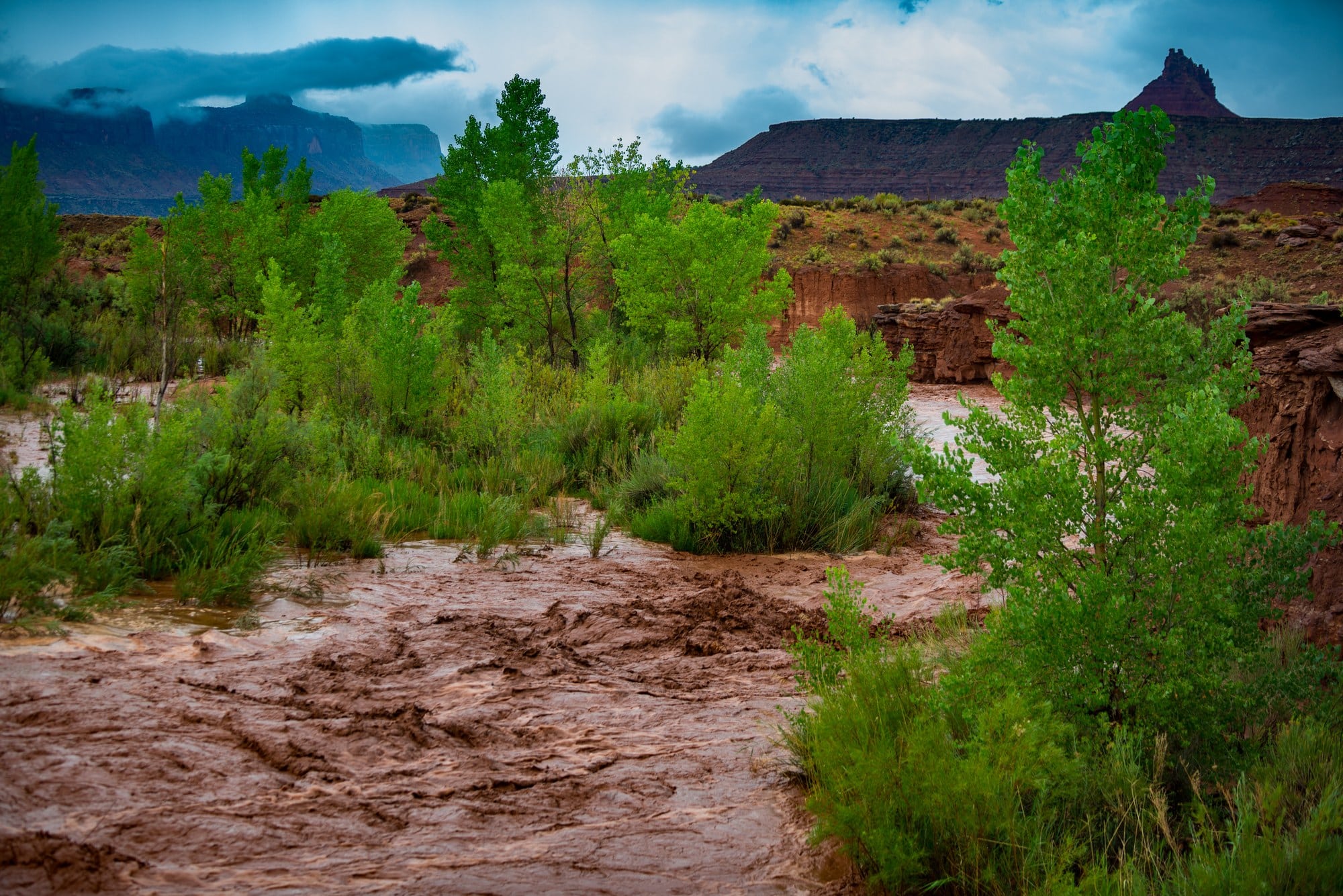 Flash flood runoff in a Canyonlands wash Utah flash flood runoff pouring through a red rock wash in the Canyonlands Needles District