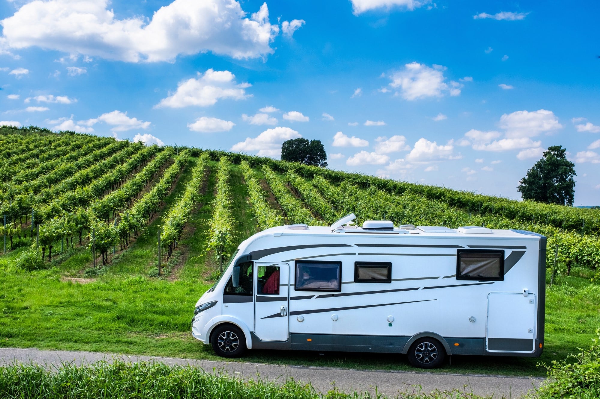 Motorhome at a vineyard host stay Self-contained motorhome parked beside the rows of a hillside vineyard