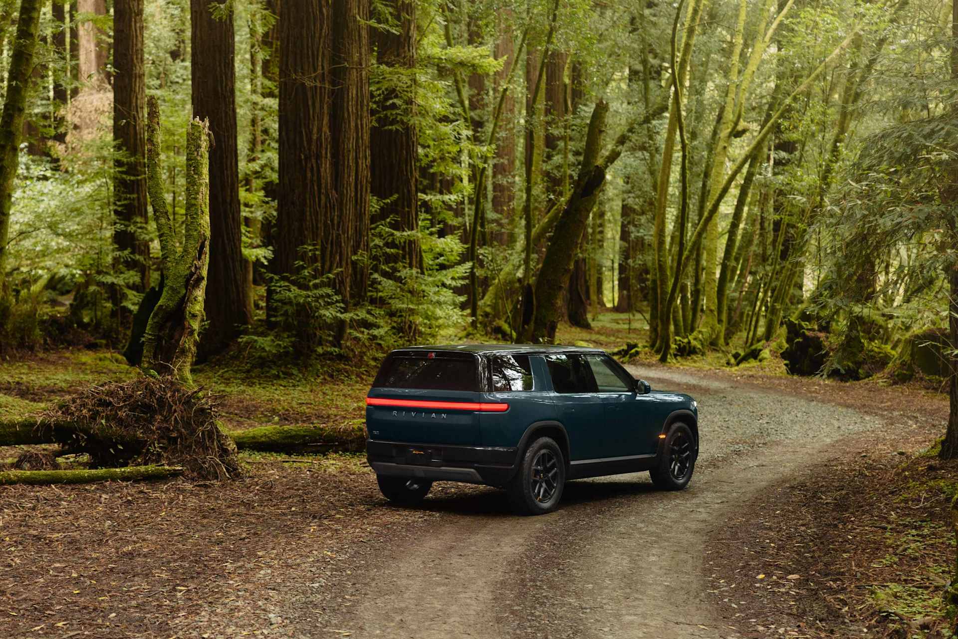 Rivian R2 on a forest dirt road Rivian SUV driving a dirt road through a dense forest