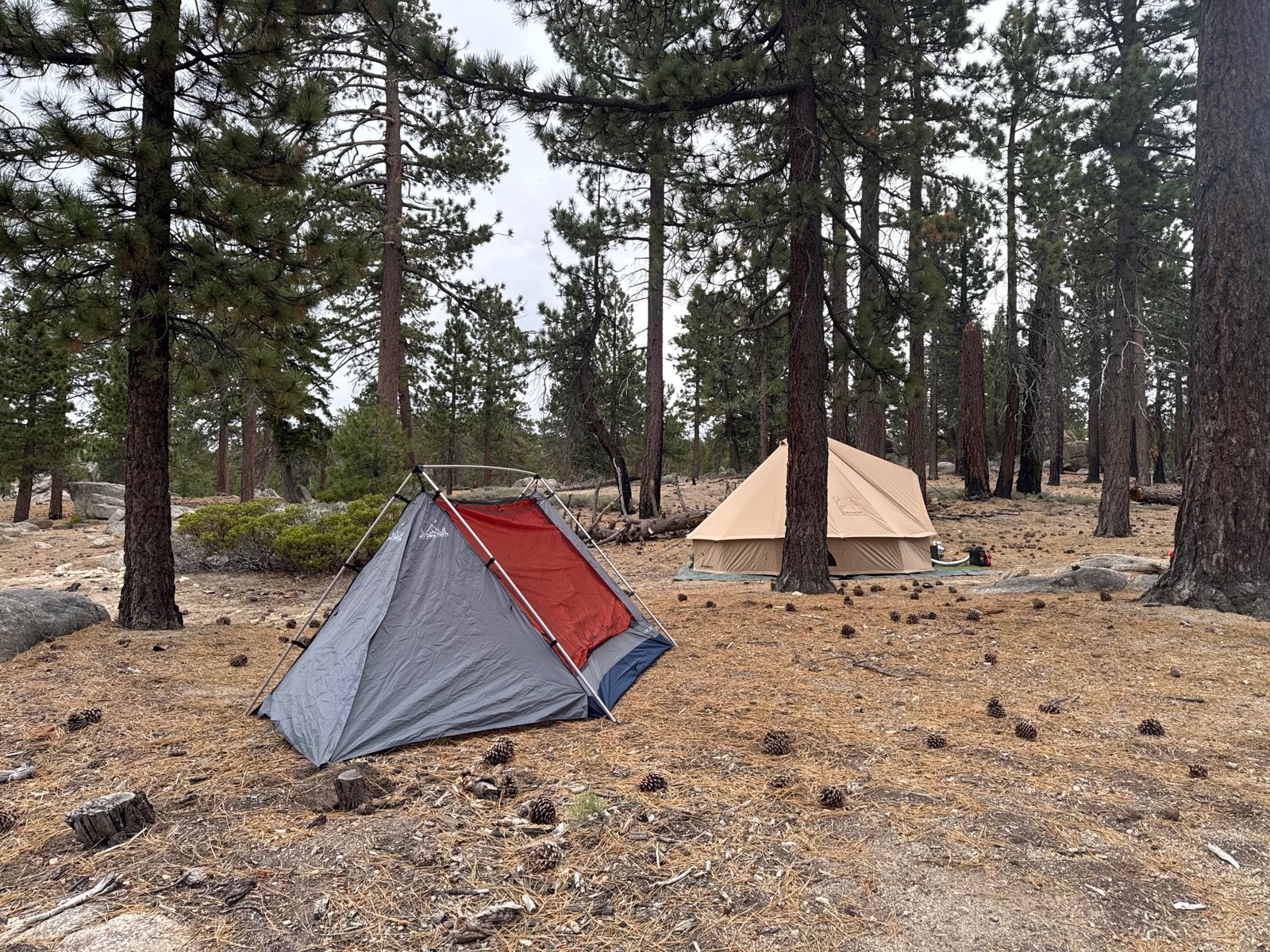 Sky View XL Next to a Bell Tent at the Big Bear Camp Sky View XL stargazing tent pitched near a canvas bell tent at our Big Bear camp