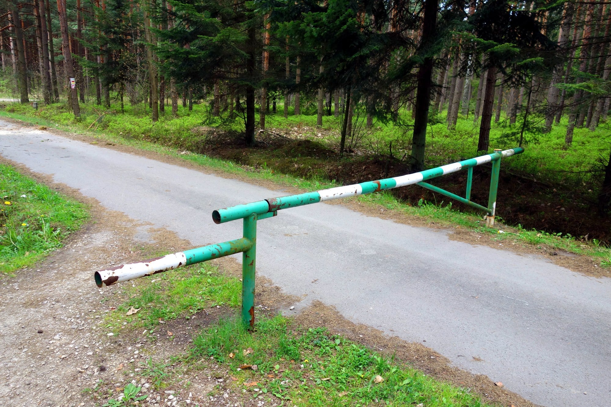 Closed forest road gate Closed barrier gate across a road in a pine forest