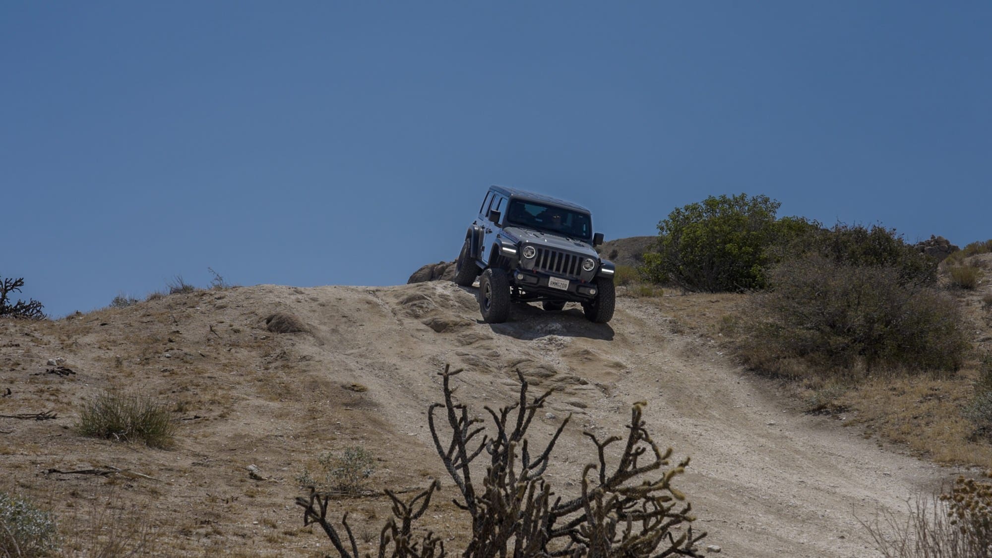Jeep Wrangler JL with Bilstein B8 5100 monotube shocks Jeep Wrangler JL Rubicon on Bilstein B8 5100 monotube shocks cresting a desert hill